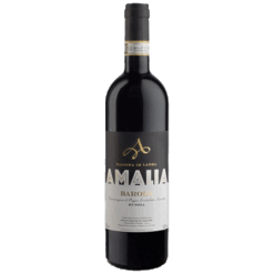 Amalia-Barolo-Bussia