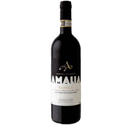 Amalia-Barolo-Le-Coste