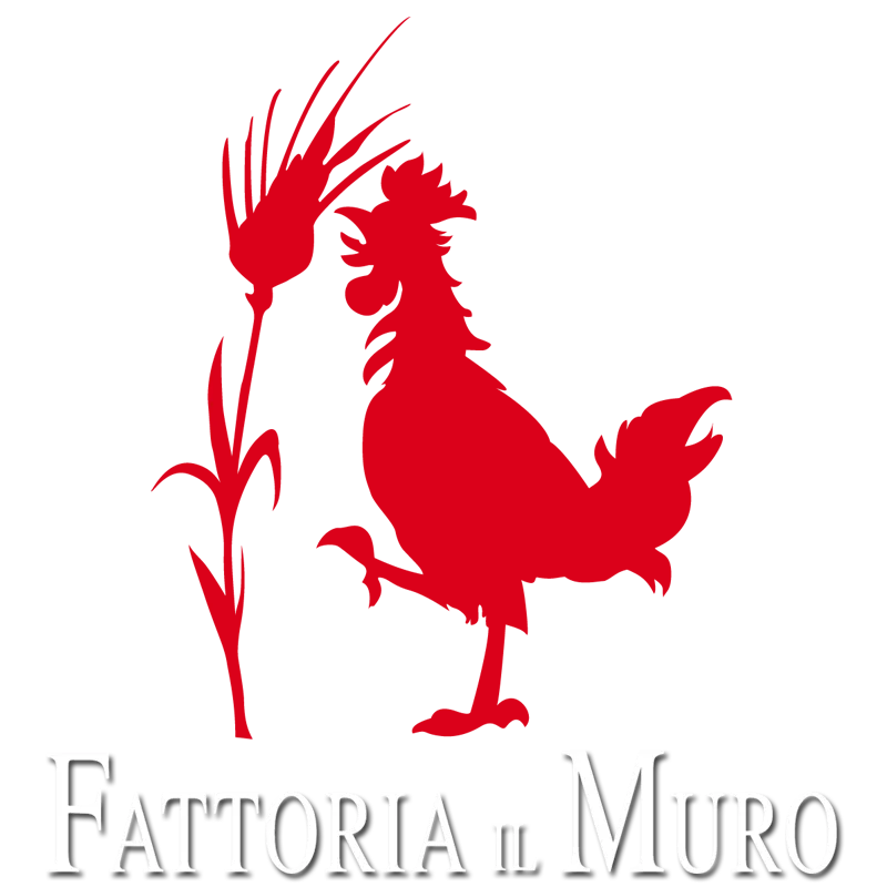 Il Muro Fattoria - Chianti
