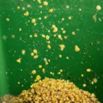 Winemaking - Destemming - Hans_Herzog_Estate_-_Crushing_and_Destemming