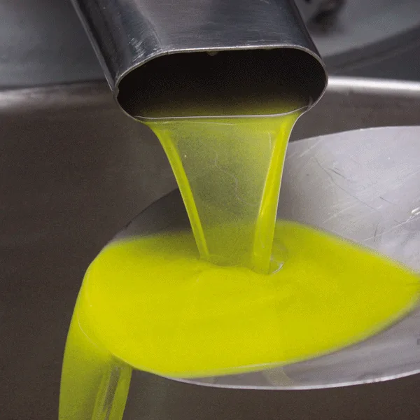 Il Muro Olio Extra Vergine di Oliva Colline  di Arezzo - Afbeelding 2