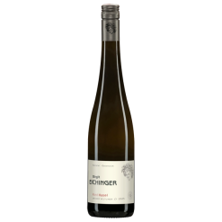 Fles Weingut Eichinger Gruner Veltliner Hasel, droge witte wijn uit Kamptal DAC, Oostenrijk