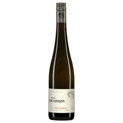Fles Weingut Eichinger Grüner Veltliner Wechselberg, witte wijn uit het Kamptal, Oostenrijk