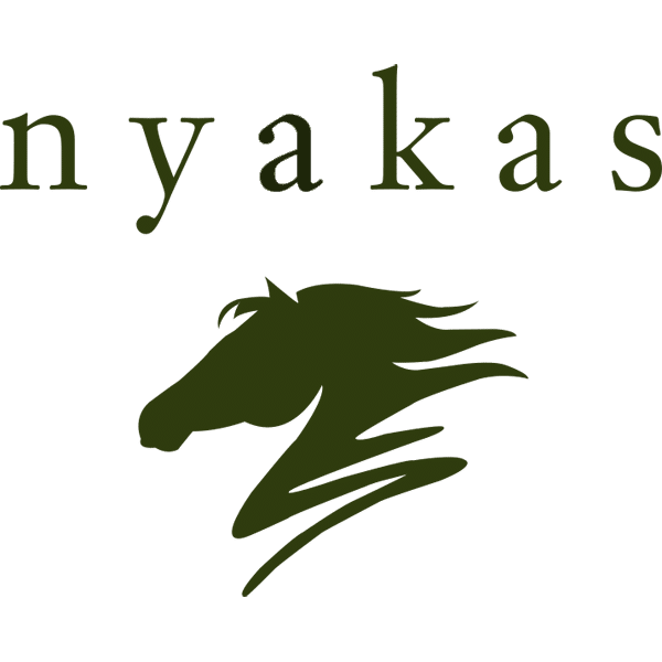 Nyakas Budai