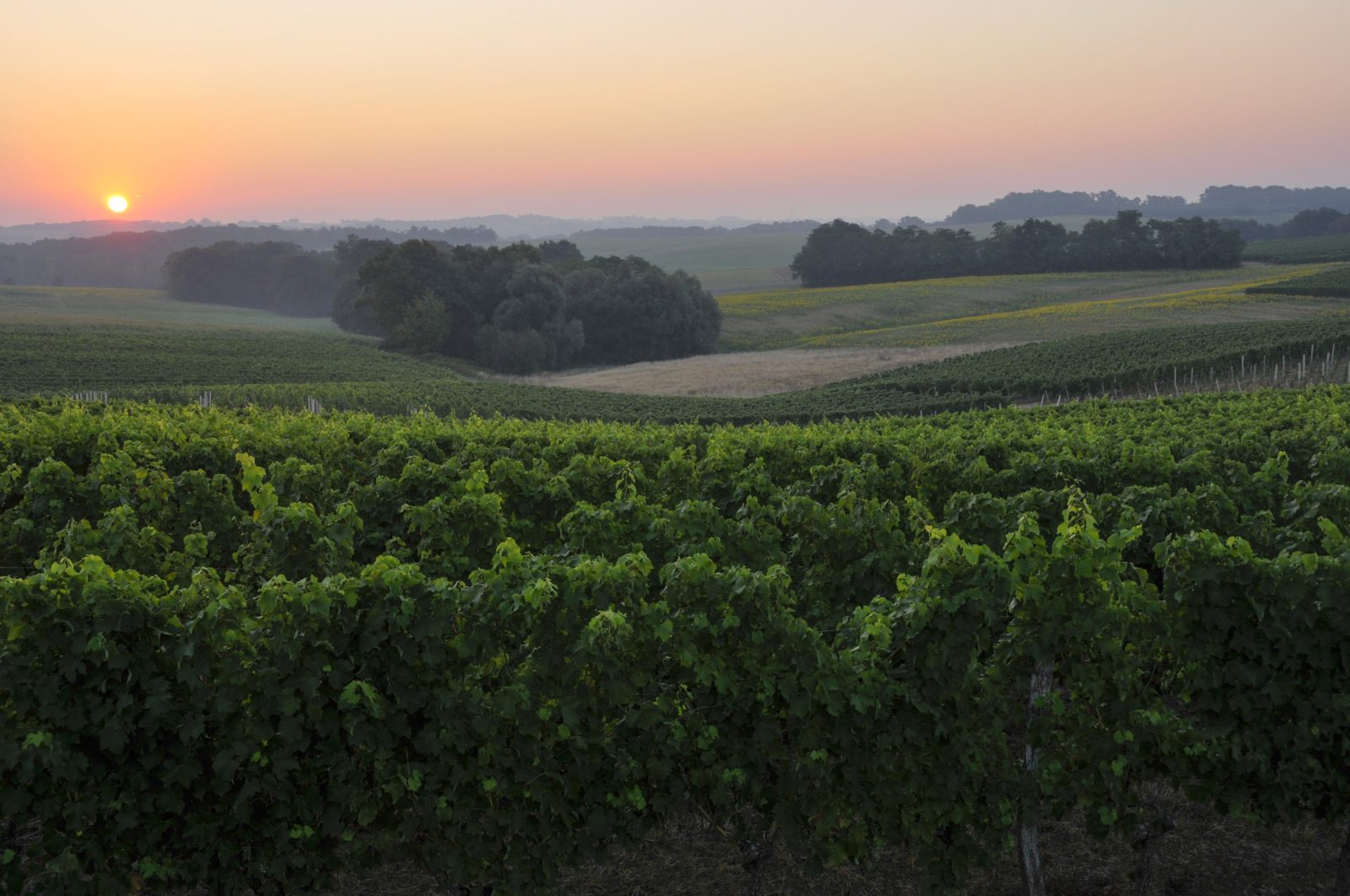 Saint Lannes Valley