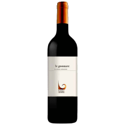 Fabio Motta Le Gonnare