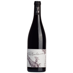 Pierre-Teissonnière-Prélude-Rouge