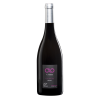 Delobel Gamay à l'Infini