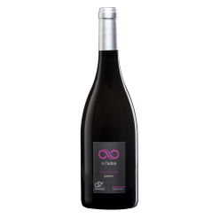 Delobel Gamay à l'Infini