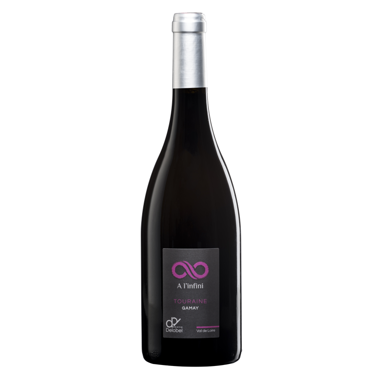 Delobel Gamay à l'Infini