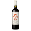 Saint Jean Racines Sauvages