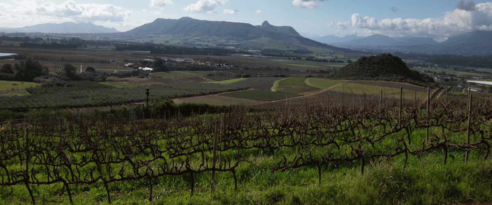 Noble-Hill-View-from-Simonsberg-Overlooking-Paarl-Winter