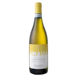 Fles Amalia Langhe Rossese Bianco, witte wijn uit Piemonte, Italië